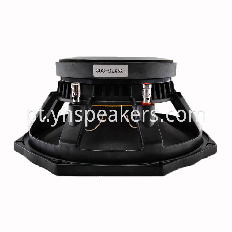 12 inch DJ sound equipment professional speaker